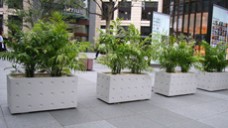 コンクリートプランターのトーシンコーポレーションのキュービックシリーズ