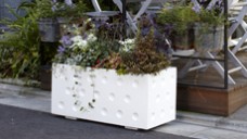 コンクリートプランターのトーシンコーポレーションのチーズ