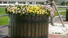 コンクリートプランターのトーシンコーポレーションのウッディシリーズ