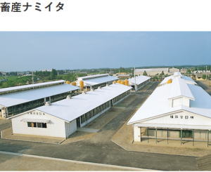 タキロンシーアイの畜産ナミイタ