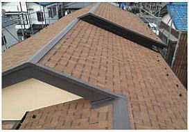 ���g���[�t�̎{�H