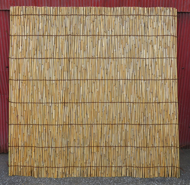 日本産のシュロ縄の写真