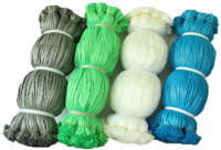 ���h���V�[�g�p�q��