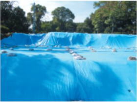 �����H�Ƃ̃^�[�s�[�V�[�g�̎g�p��